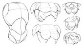 Drawing The Thorax (Chest & Shoulders)