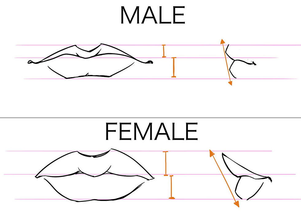 Male Mouth vs Female Mouth