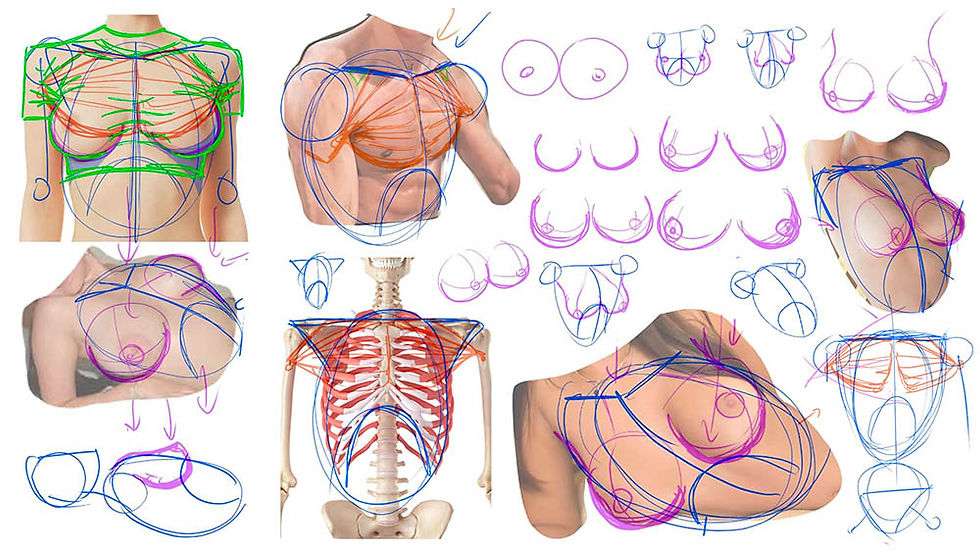 How to Draw Chests and Breasts with Ed Foychuk