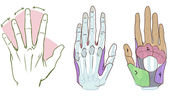 How To Draw Hands