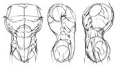 How to Draw The Male Torso