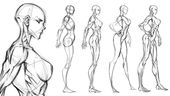 Anatomy of The Female Figure: Side View