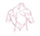 Clean Up The Back View Torso Drawing