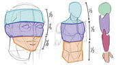 Understanding Proportions