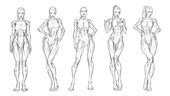 Anatomy of The Female Figure: Front Poses