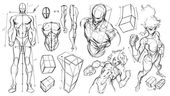 Proportional Foreshortening