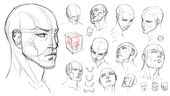 Drawing Heads In Perspective