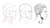 How To Draw The Side View of The Male Head