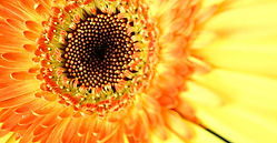 夏のお手入れスタート🍉8月末まで🍉