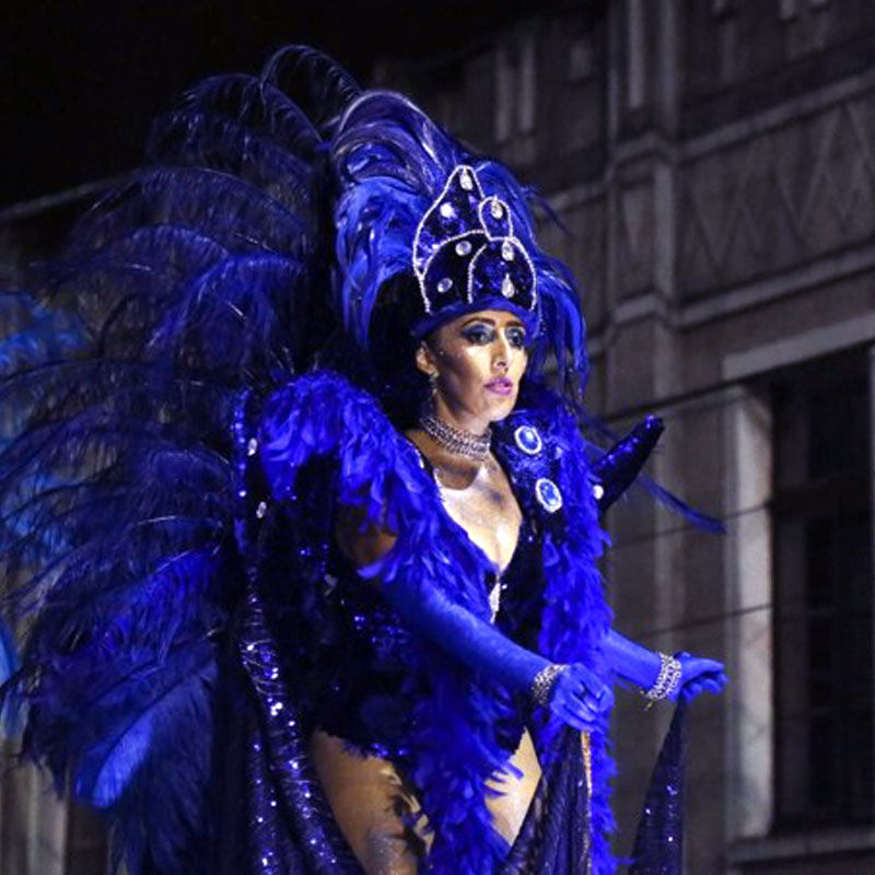 Destaque_Karla_Gaspar__Produção_Ateliê_Marcelo_Cecyn_carnaval-2016