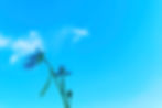 2E4C6B5E-E7C9-4E5A-9200-4F9E2598ED4C.jpeg