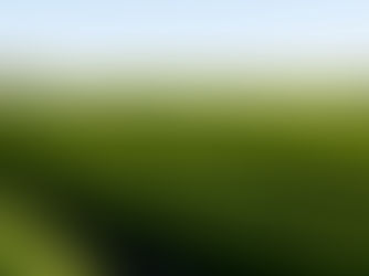 Fulvic Acid: What Commercial Agricultural Operations Need to Know