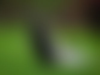 odorless fulvic acid fertilizer