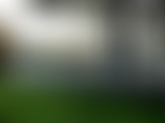 Apiculture Revolutionized... utilizing Nature’s own solution!