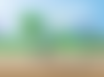 The Nitrogen Cycle & Fulvic