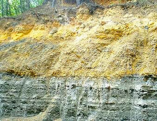 Tip 2: The Deposit Location Determines the Quality & Quantity of Fulvic Acid