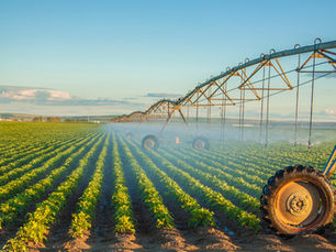 The Power of Precision: Why Formulation Potency Matters in Agriculture