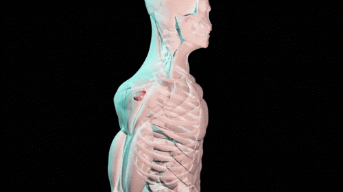 Rotator Cuff - When is a tear not a tear?