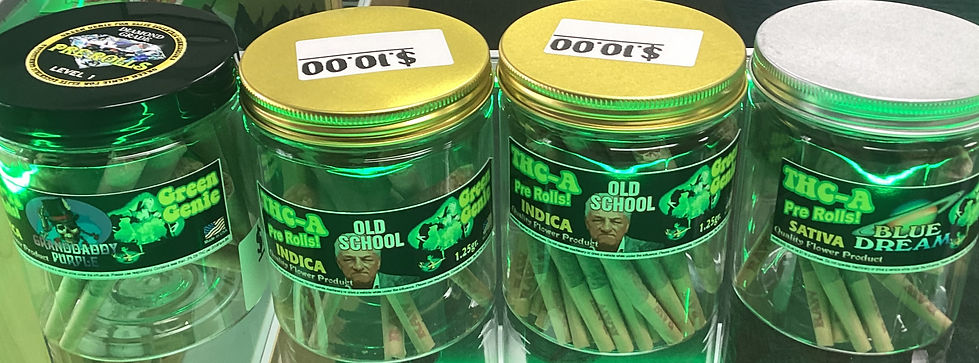 IMG_0141 (1)_edited.jpg