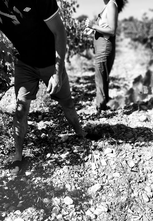 20210827_155924-01.jpeg