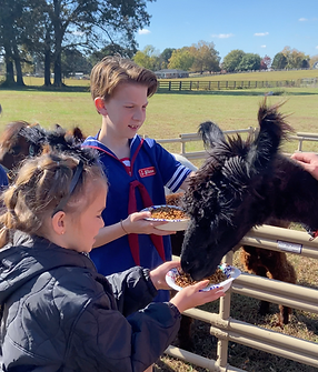 Screenshot 2025-11-13 at 9.25.45 AM.png