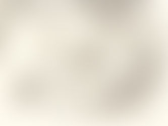 Journey Through Time: The Fascinating History of Tea and its Evolution