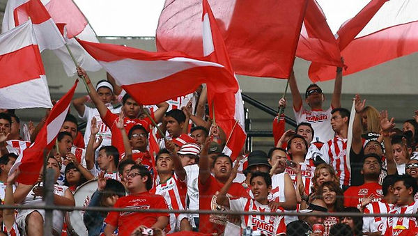 fans-necaxa.jpeg