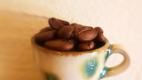 フードブース（F21～F26）