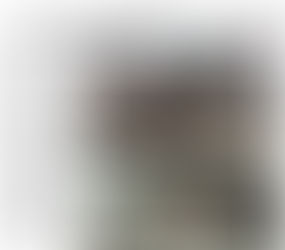 ÇANAKKALENİN LAPSEKİ İLÇESİNDEKİ YOL YAPIMINDA İNSAN KEMİKLERİNE RASTLANDI