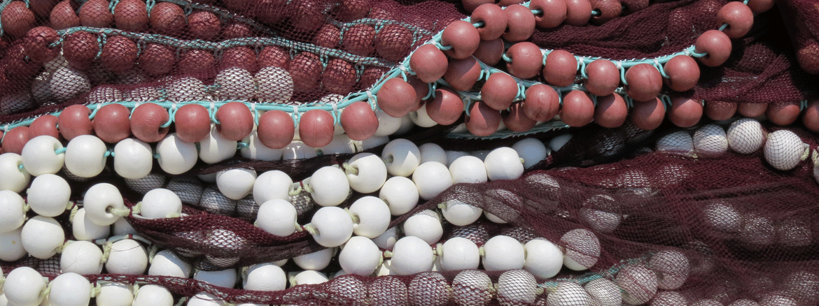 Marketing_FishingNets.gif