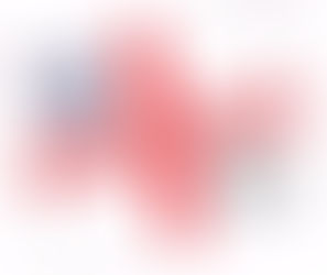 It's Coming Home! Celebrate with a Sparkling Clean by Evans Cleaning Solutions!