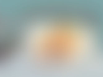             The Pages I Couldn't Write