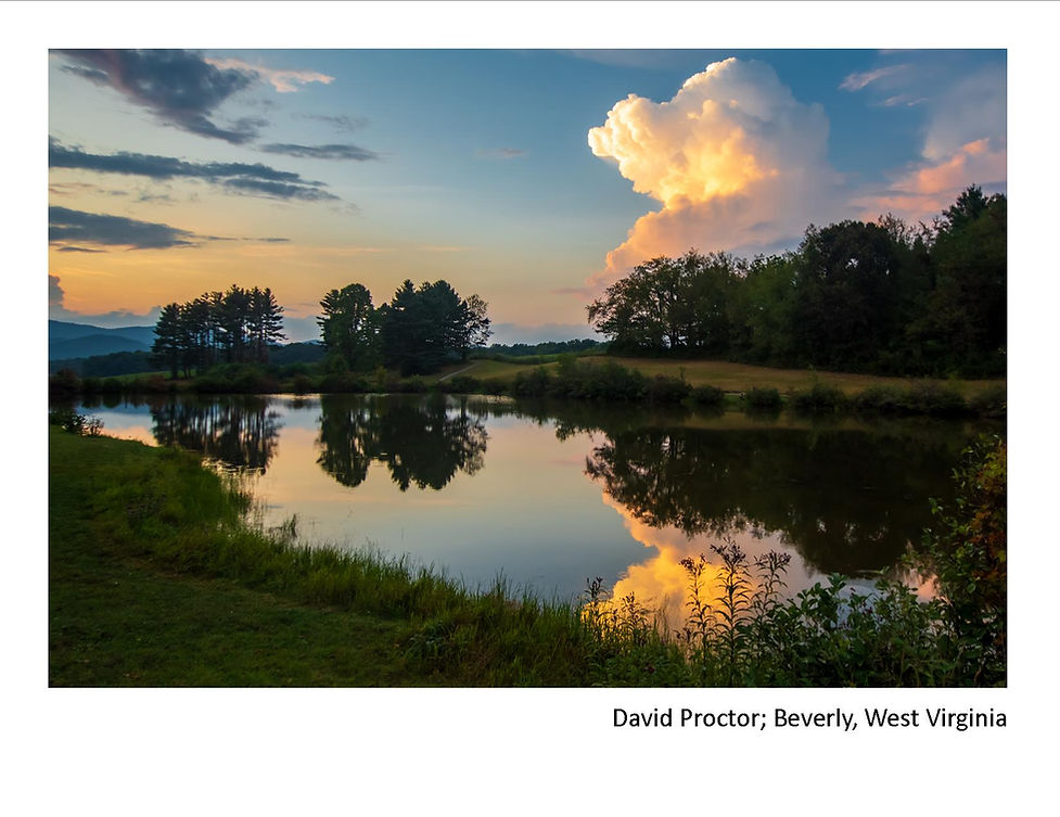 2020 Winners - David Proctor.jpg