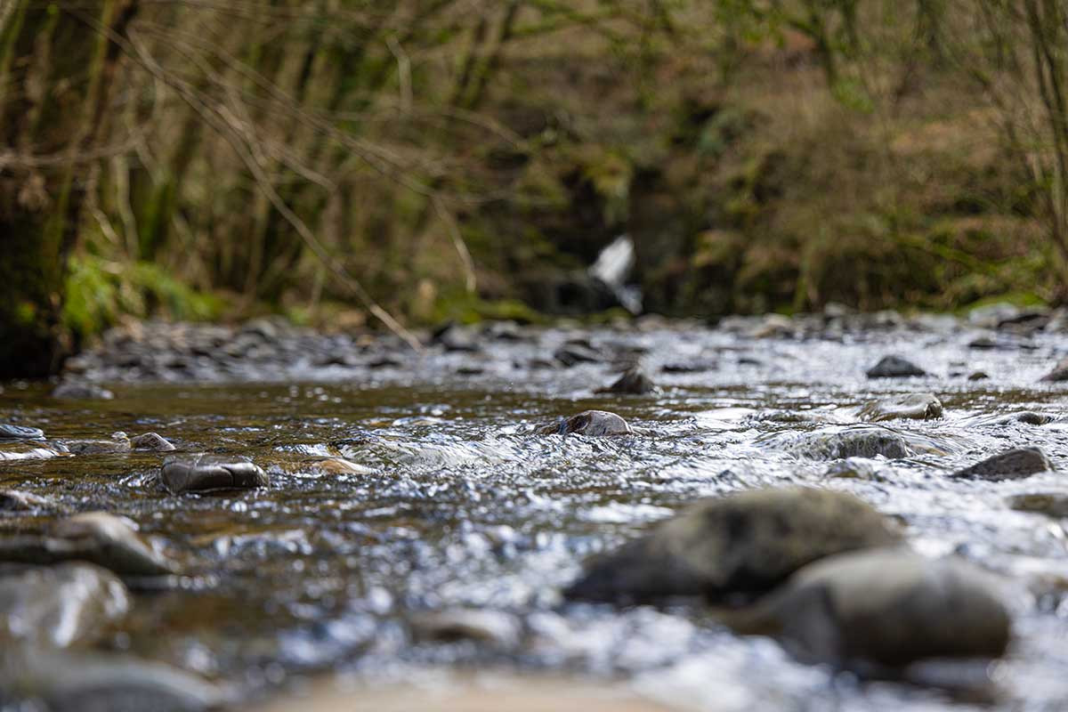 Waterfall and stream