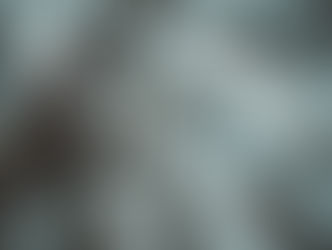 Ego: Our Own Perceived Reality