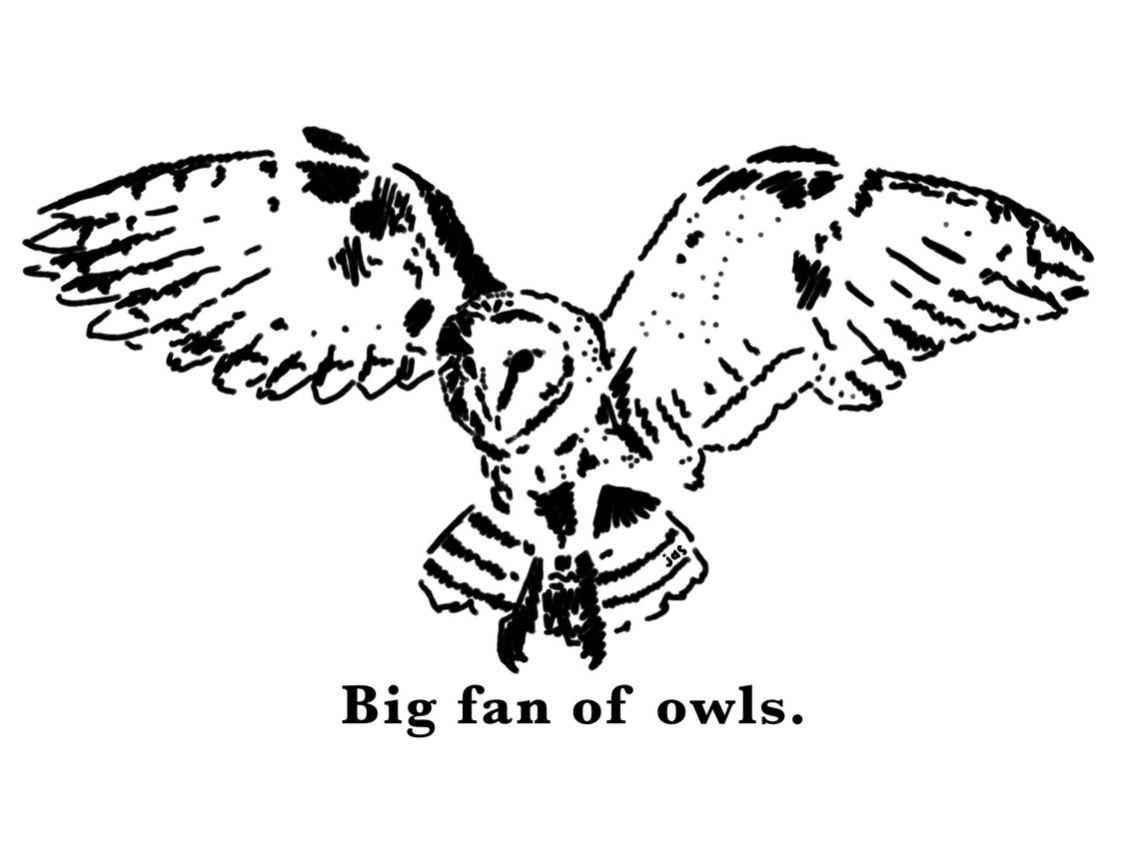 Big Fan of Owls