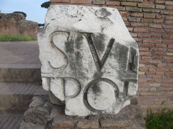 P1020971