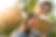 AdobeStock_290262607.jpeg