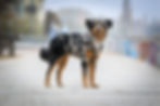 IMG-20190305-WA0009_edited_edited.jpg