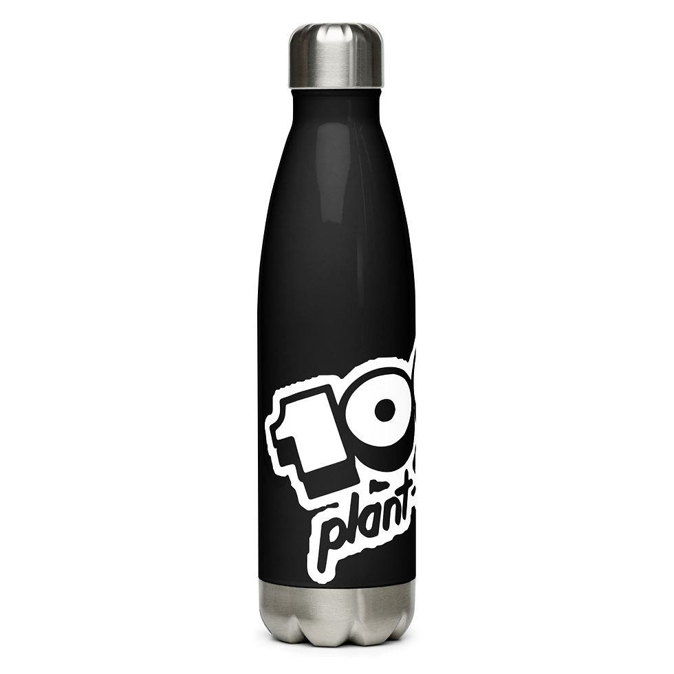 Thumbnail: Stainless steel water bottle