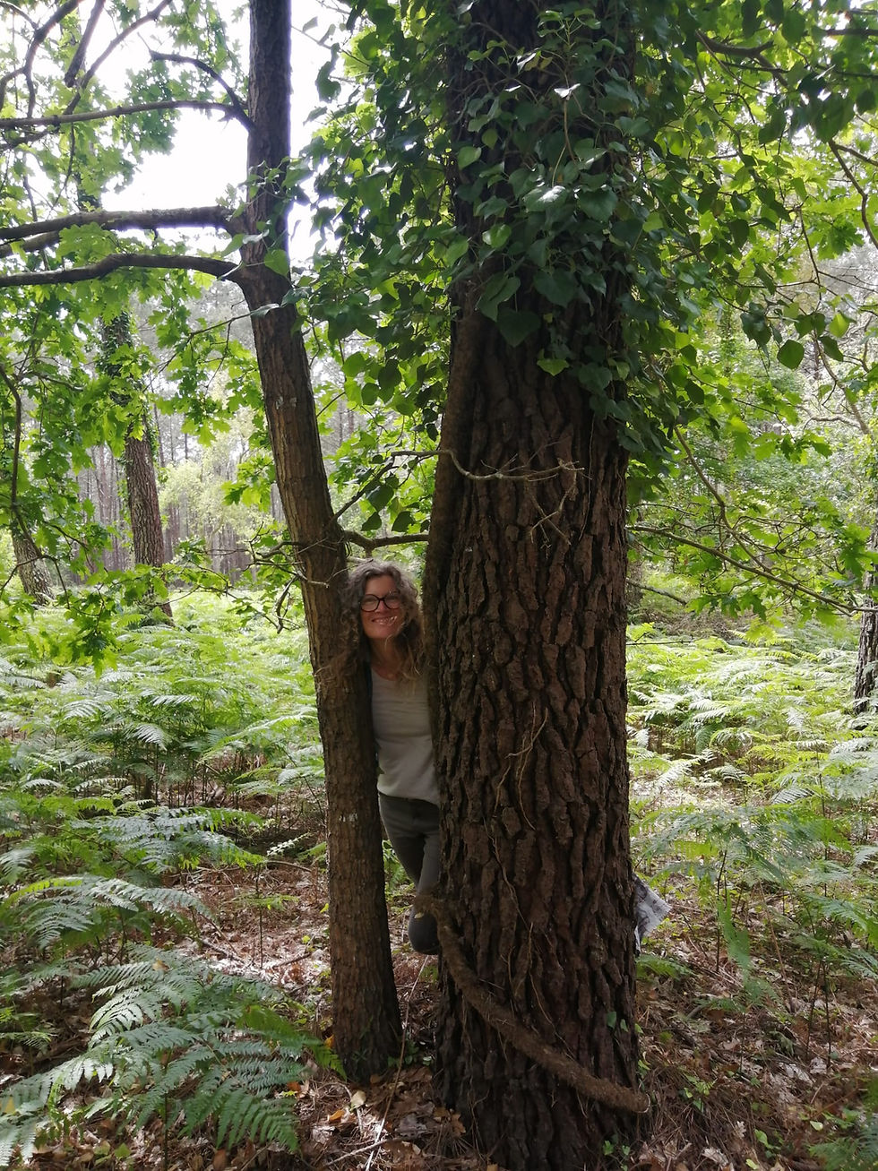 Bain de forêt et Sit Spot