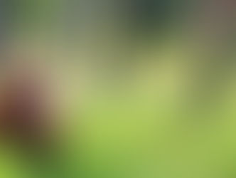 Driscoll-led Legislation for Blue Hills Passed into Law