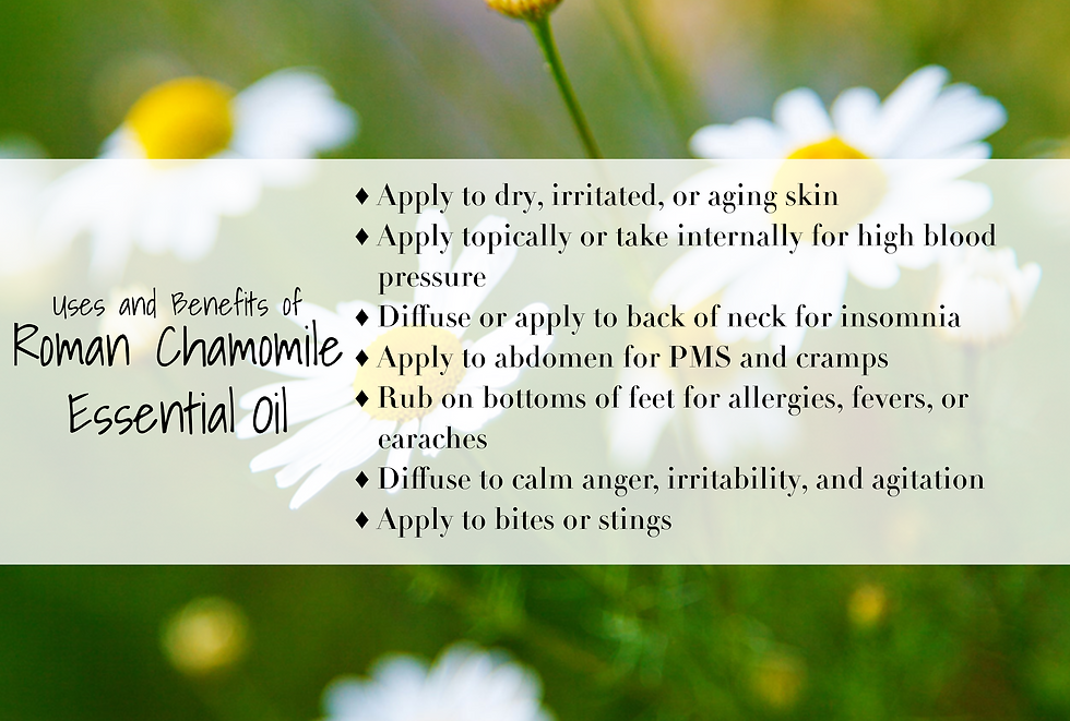 Roman Chamomile Rec.png