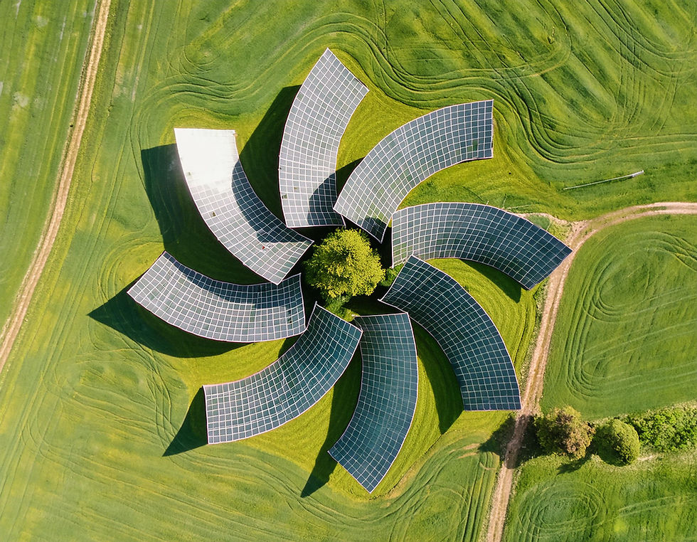 Firefly green landscape from above representing renewable energy, very detailed and photo