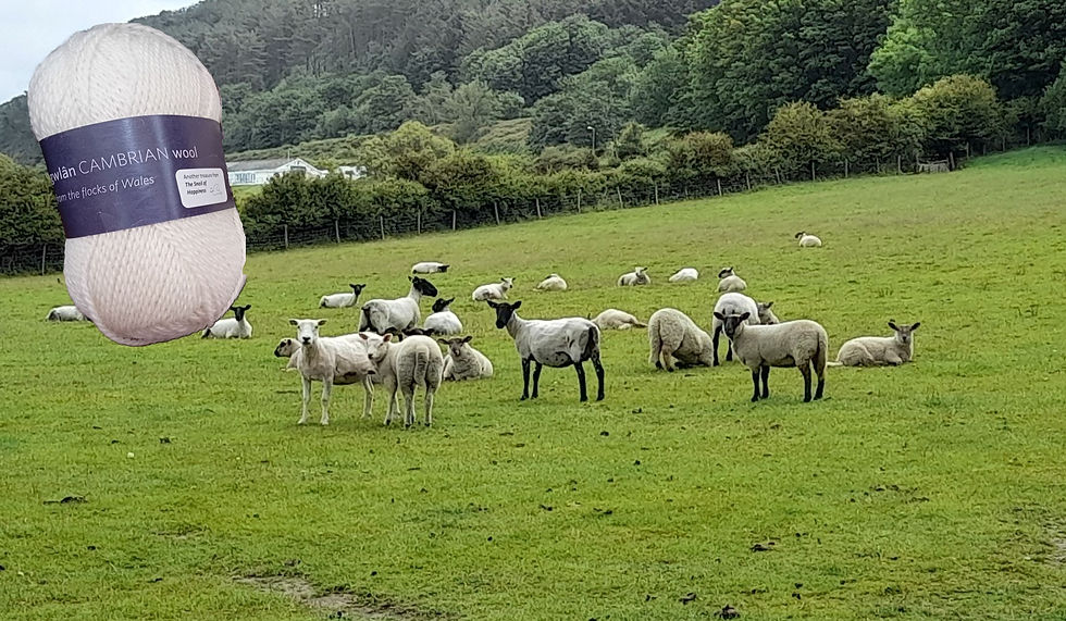 Large Cambrian wool yarn skein over a green pasture with grazing sheep, wooded hills behind, calm rural scene.