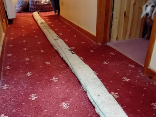 A long tube of hessian laid out in a hallway on top of a red carpet. A dog is peeping in from the side