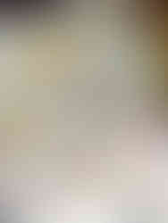 Carded buttons on a display stand