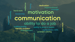 PBL skills for faculties across sub-Saharan Africa