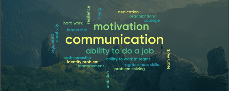 Word cloud with competence in centre
