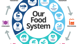 Agricultural and biosystems engineering: the cutting edge of innovation for the circular bioeconomy